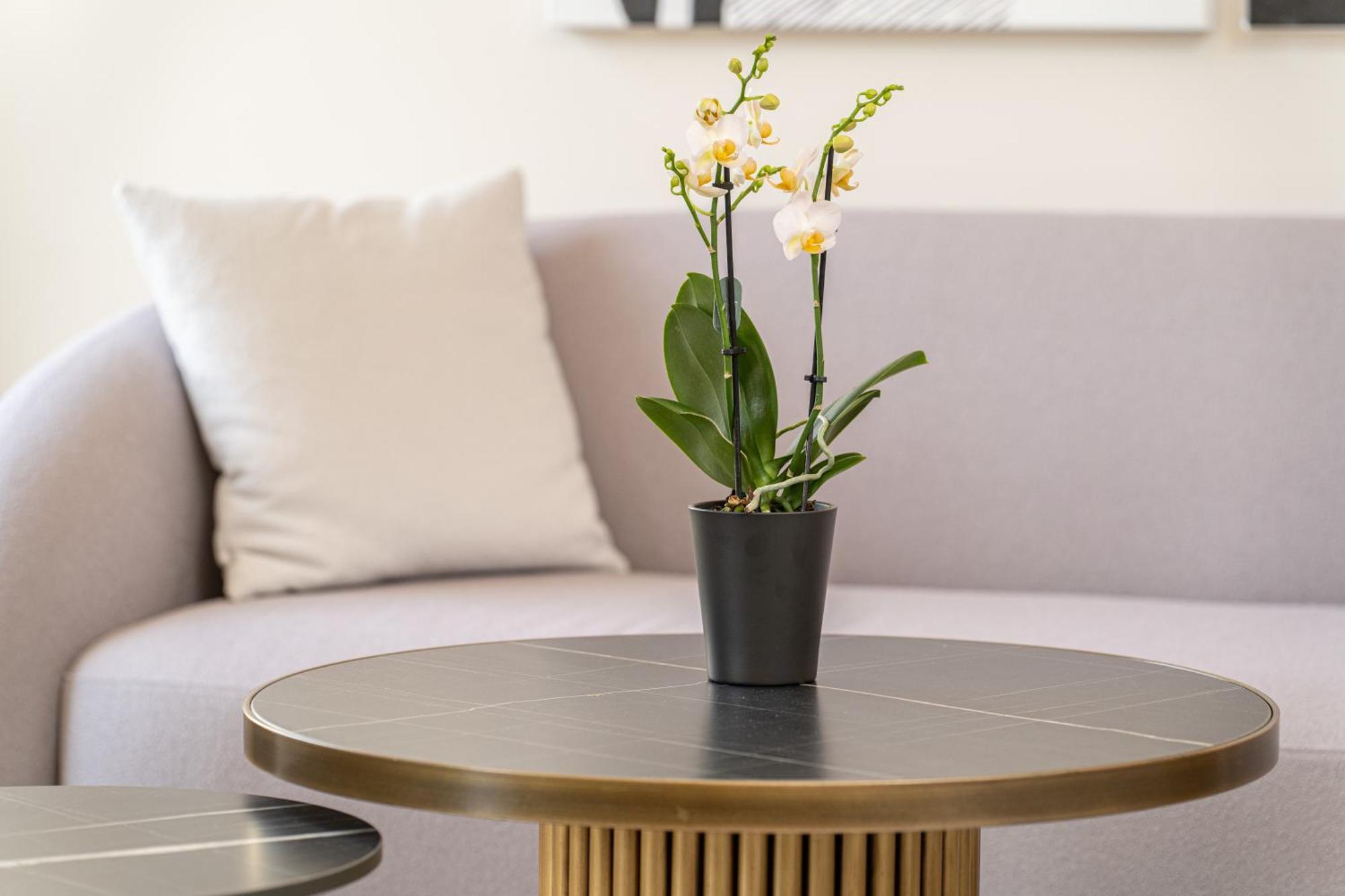 Kantada Central Suite Argostoli  Ngoại thất bức ảnh